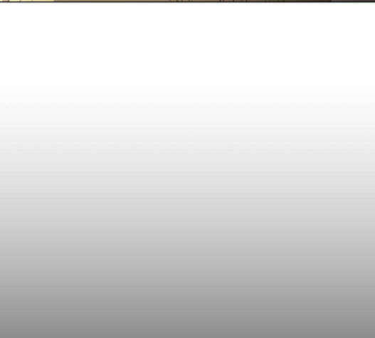 100.jpg