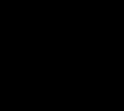 005.jpg