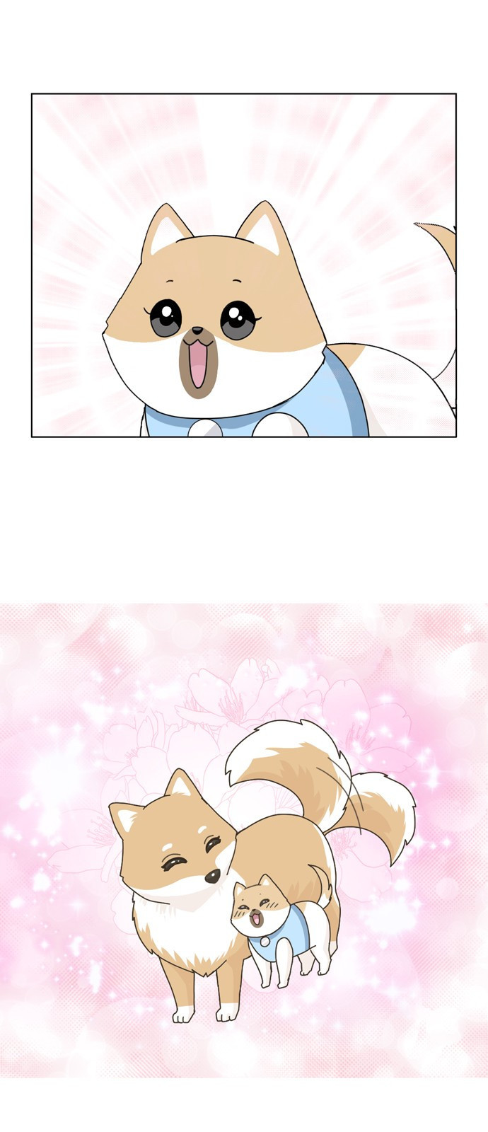 15654016910502.jpeg