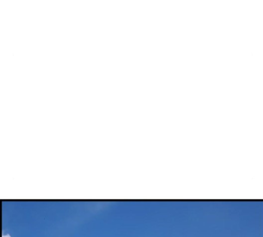 15998529583391.jpg