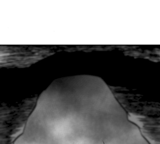 16059946003726.jpg