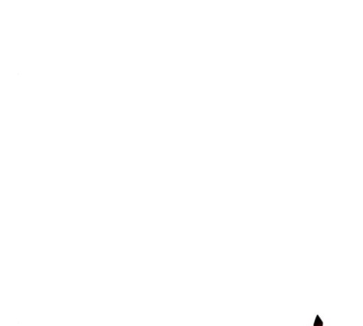 16117161188622.jpg